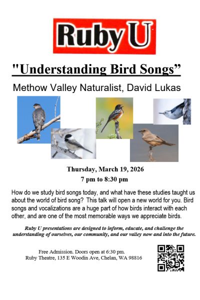 Ruby U: Understanding Bird Songs